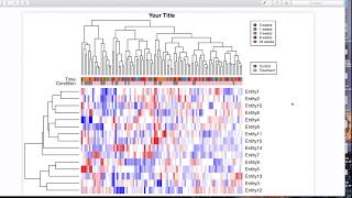 How to Make an R Heatmap with Annotations and Legend [upl. by Gnilyarg732]