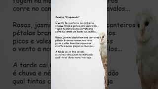 Soneto quotCrepúsculoquot metrificado [upl. by Idnyc]