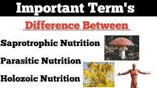 Nutrition Saprotrophic Nutrition  Parasitic Nutrition  Holozoic Nutrition  By Dadhich Sir [upl. by Oelc]