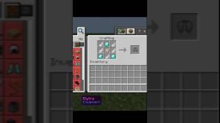 MINECRAFT ELYTRA MOMENT  akgamerzp8i 2 [upl. by Alfonse]