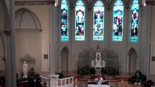 Gospel Acclamation for the 17th Sunday in Ordinary Time [upl. by Mcdermott979]