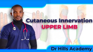 Cutaneous Innervation of the Upper Limb  Made Easy [upl. by Farmer]