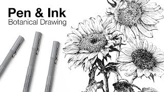 Pen and Ink Botanical Drawing [upl. by Auoh]