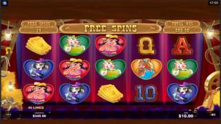 BIG WIN On Oink Country Love Slot Machine From Microgaming [upl. by Enneles887]