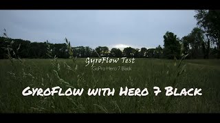 GoPro Hero 7 FPV Cinematic  GoPro Hero 7 stabilized using GyroFlow [upl. by Ebarta]