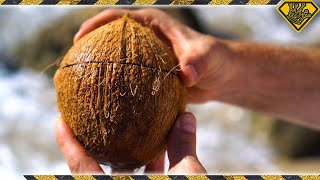 How To Open Coconuts Without Any Tools TKORs Easy Way Of Cracking Coconuts [upl. by Aniweta588]