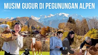 FULL 1 JAM KEHIDUPAN MUSIM GUGUR DI PEGUNUNGAN ALPEN [upl. by Inavihs396]