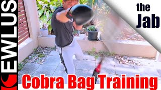 Cobra Bag Training Jab Tips for Beginners [upl. by Enilamme301]