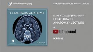 Fetal Neurosonography Fetal Brain Anatomy [upl. by Riley]