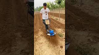 Rotary tillage weeding and furrowing [upl. by Perrie392]