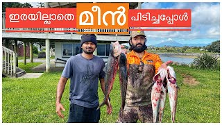 ഇരയില്ലാതെ ചൂണ്ടയിൽ മീൻപിടിച്ചാലോ  Kahawai fish  Malayalam fishing  Australian salmon  fishing [upl. by Xantha]