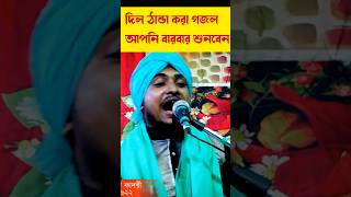 দিল ঠান্ডা করা উর্দু গজল ২০২৪  manik chand qadri  shorts vairalshort urdu ghazal gojol [upl. by Allsun]