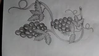 How to draw grapes with pencil  muskan drawing amp art [upl. by Swarts]