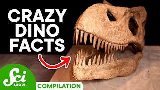 5 Cool Facts About Dinosaurs You Should Know [upl. by Camel]