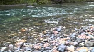 Rock Hounding by Trout Creek Campground [upl. by Willner]