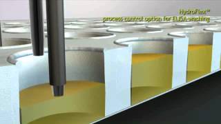 ELISA plate washing with HydroFlex™ microplate washer [upl. by Sib]