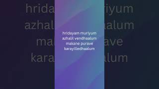 Hridayam muriyum vazha movie song [upl. by Faith684]