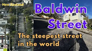 Baldwin Street Exploring the steepest street in the world Dunedin New Zealand [upl. by Cutlerr610]