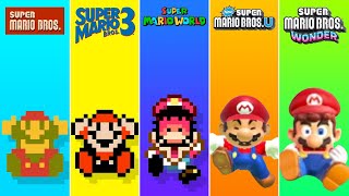 Super Mario Bros but there are MORE Custom Super Star [upl. by Arima]