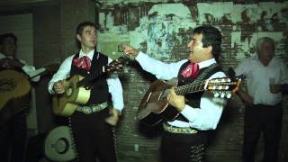 Mariachis de serenata por España [upl. by Arezzini113]