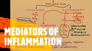 GENERAL PATHOLOGY 17  types of acute inflammation  SUPPURATIVE amp NON SUPPURATIVE  DR SAMEH GHAZY [upl. by Marne]