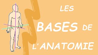 LES BASES DE LANATOMIE Généralités [upl. by Nivonod125]