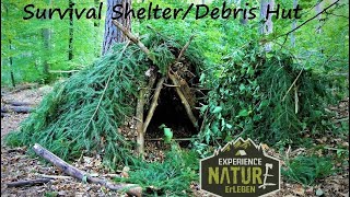 Draußen schlafen ohne Ausrüstung  Survival Shelter  Notunterkunft  Debris Hut  für Minusgrade [upl. by Riella]