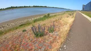 Zomerse wandeling langs de Nieuwe Waterweg bij Maassluis [upl. by Bywoods131]