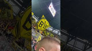 BVB vs Augsburg bvb [upl. by Eigriv]