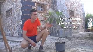 10 Consejos para Plantar árbol FRUTAL [upl. by Astrahan1]