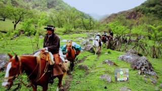 Cabalgata Las Queñuas  Programa Tucumán 200 Años de Historia [upl. by Nalyac171]