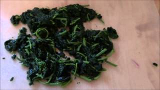 Stinging Nettle Soup Recipe [upl. by Lehsreh]