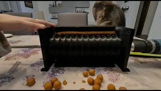 3D printed boilies roller machine [upl. by Attenborough]