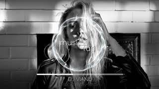 Dj Vianu  Stuck In My Brain [upl. by Rock]