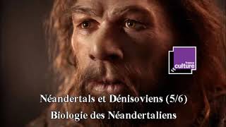 Néandertals et Dénisoviens 56  Biologie des Néandertaliens [upl. by Lester]