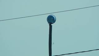 ACA P10 Siren Test Webster NY 512018 [upl. by Sherrod443]