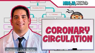 Circulatory System  Coronary Circulation [upl. by Orly]