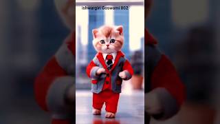 Cat dance  Main to gol matol mere duble Piya trendingshorts viralshorts hindisong [upl. by Iznekcam]