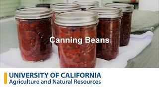 Preserving cooked dry beans with a pressure canner [upl. by Ziwot]