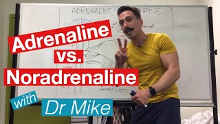 Adrenaline versus Noradrenaline  epinephrine versus Norepinephrine [upl. by Aniraz]