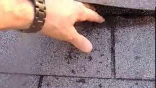 Finding The Source Of A Roof Leak In McLean VA  Roofer911 [upl. by Westley886]