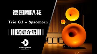 Ultimate Performance of Avantgarde Acoustic Trio G3  SpaceHorn [upl. by Ynnep]