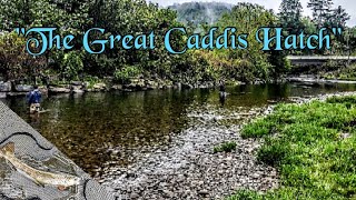 Catskills Fly Fishing quotThe Beaver Killquot  Part 2 [upl. by Elleirbag883]