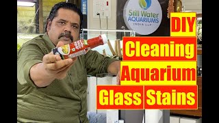 How to CLEAN Aquarium Glass Stains  Remove Hard water salt stains Mayur Dev Tips Aquarium Cleaning [upl. by Etan213]