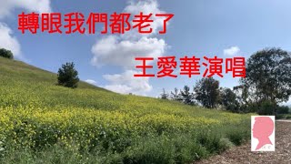 轉眼我們都老了  王愛華 [upl. by Homans]