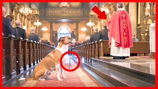 FINAL WARNING Dog CHASES Priest Until REVEALING TERRIFYING TRUTH [upl. by Kamaria]