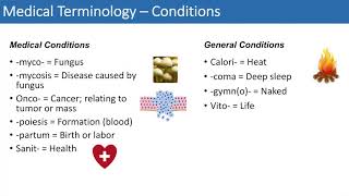 Medical Terminology  The Basics  Lesson 4 [upl. by Leod664]