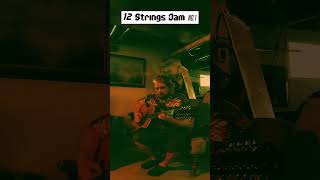 12 String Jam no1  Basement Playing 12stringguitar guitarplayer jamming [upl. by Nilla]