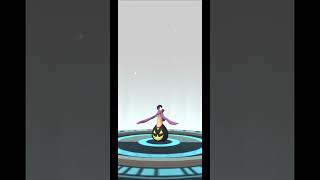 Shiny Pumpkaboo Evolves into Shiny Gourgeist  Pokemon GO [upl. by Adiaj26]