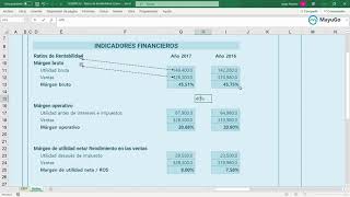 Ratios de rentabilidad  Curso de Análisis de Ratios Financieros – KPIs [upl. by Euqinahc448]